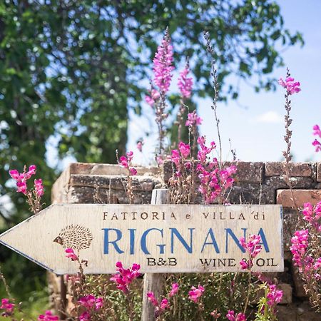 Fattoria Di Rignana Winery Bnb غريفي ان شنتي المظهر الخارجي الصورة
