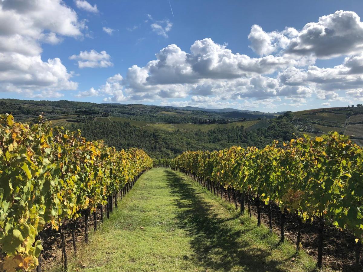 Fattoria Di Rignana Winery Bnb غريفي ان شنتي المظهر الخارجي الصورة