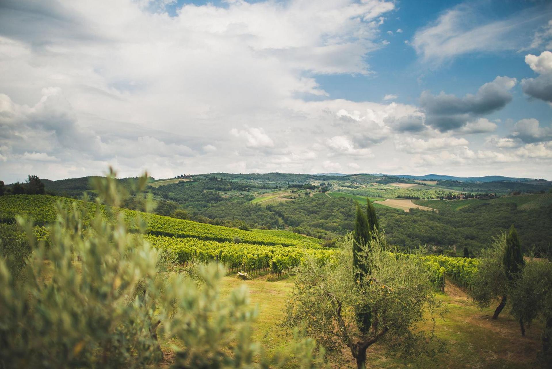 Fattoria Di Rignana Winery Bnb غريفي ان شنتي المظهر الخارجي الصورة
